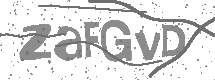 visual captcha
